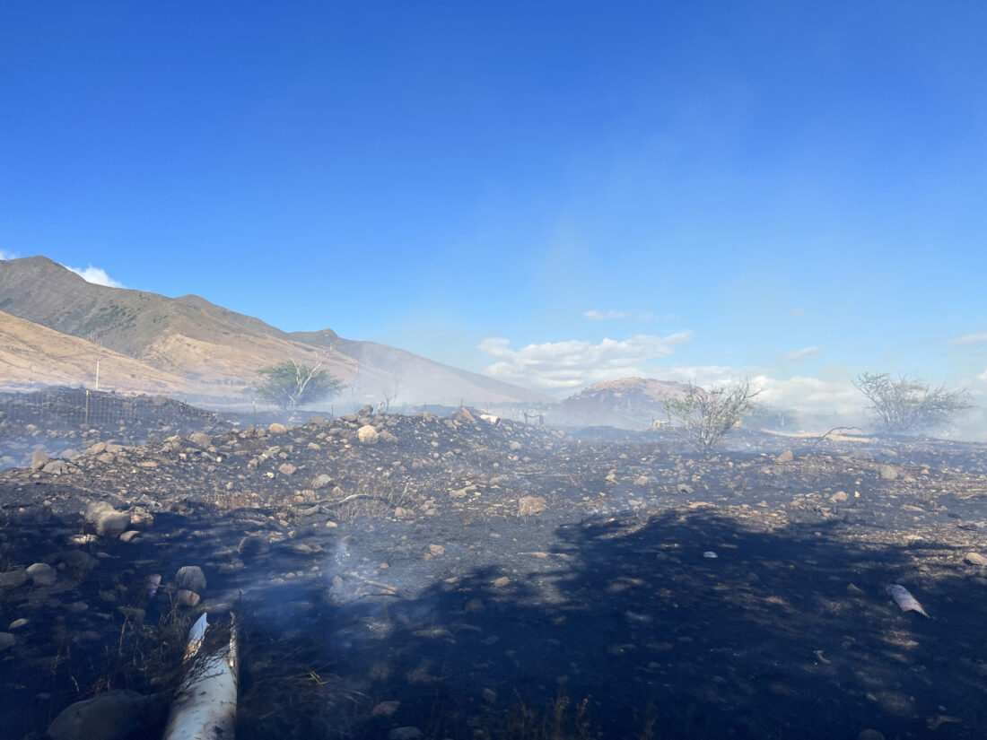Honoapiilani Highway closed as crews fight brush fire News, Sports